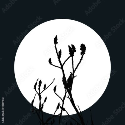 Papier peint  Abstract one line art flower. Strelitzia contour drawing. Minimal art flower on geometric shapes backgroud. Modern black and white illustration. Elegant continuous line drawing