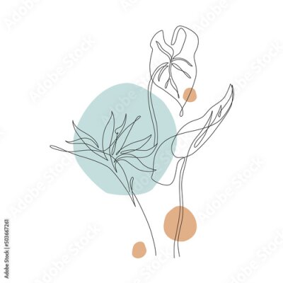 Papier peint  Abstract one line art tropical flower, monstera leaf. Strelitzia contour drawing. Minimal continuous line art flower, exotic leaf on geometric shapes background. Vector art. Elegant line drawing