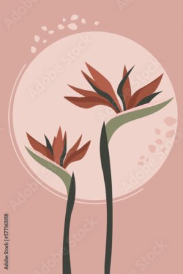 Papier peint  Abstract poster with exotic flowers. Strelitzia on the background of the sun circle. Simple natural vector graphics.