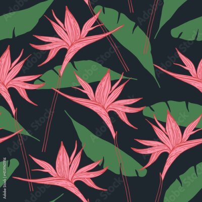 Papier peint  Abstract seamless pattern with tropical flowers leaves silhouette, line drawing