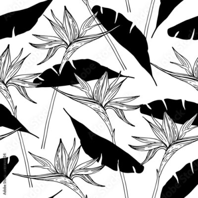 Papier peint  Abstract seamless pattern with tropical flowers leaves silhouette, line drawing