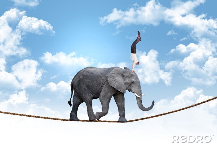 Papier peint  acrobate d'affaires