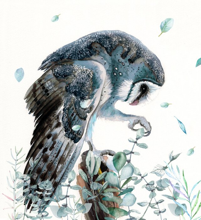 Papier peint  Adorable Chouette effraie peinte à l'aquarelle