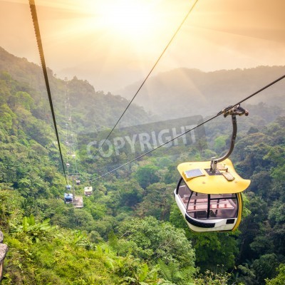 Papier peint  Aerial tramway moving up in tropical jungle mountains
