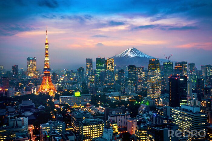 Papier peint  Aerial view of Tokyo cityscape with Fuji mountain in Japan.