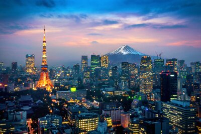Papier peint  Aerial view of Tokyo cityscape with Fuji mountain in Japan.