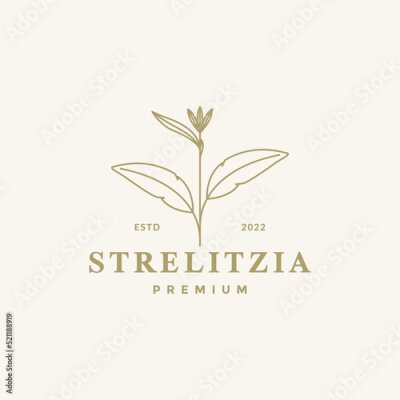 Papier peint  aesthetic flower strelitzia logo design