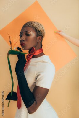 Papier peint  african american model in black gloves posing with Strelitzia flower on beige and orange