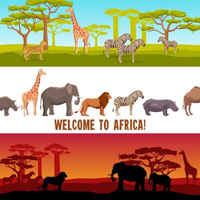 Papier peint  Afrique : Représentations graphiques