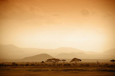Afrique Savane et lever de soleil