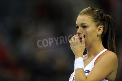 Papier peint  Agnieszka Radwanska joueuse de tennis