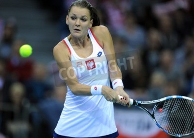 Papier peint  Agnieszka Radwanska pendant le match