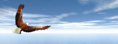 Papier peint  Aigle volant dans un ciel bleu