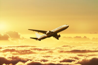 Papier peint  Airplane in the sky at sunset