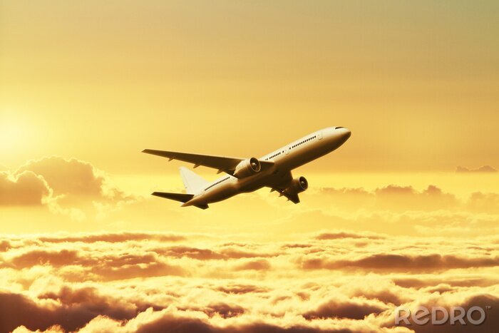 Papier peint  Airplane in the sky at sunset