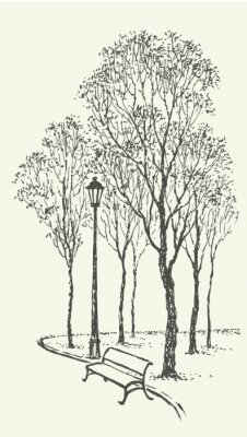 Allée de parc avec des arbres