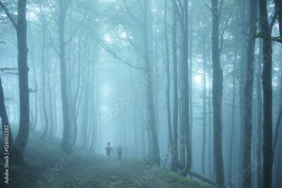 Papier peint  Allez à santiago