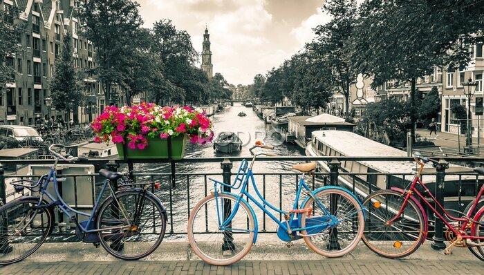 Papier peint  Amsterdam - Photo noir et blanc avec des vélos colorés