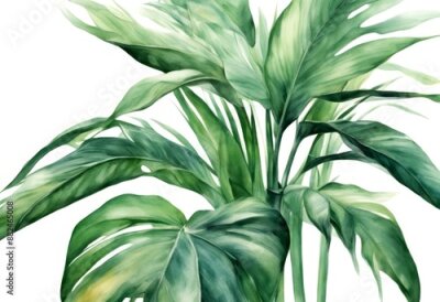 Papier peint  an design jungle blossom leaves olated background plants green art white botanical bloom tropical beauty bird africa strelitzia illustration beautiful set beach