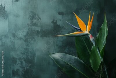 Papier peint  An orange strelitzia flower grows in front of a marble wall