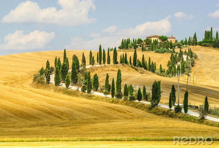 Papier peint  Ancienne ferme dans le Val d'Orcia (Toscane)