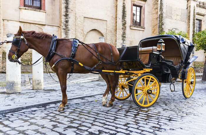 Papier peint  Animal debout près du chemin