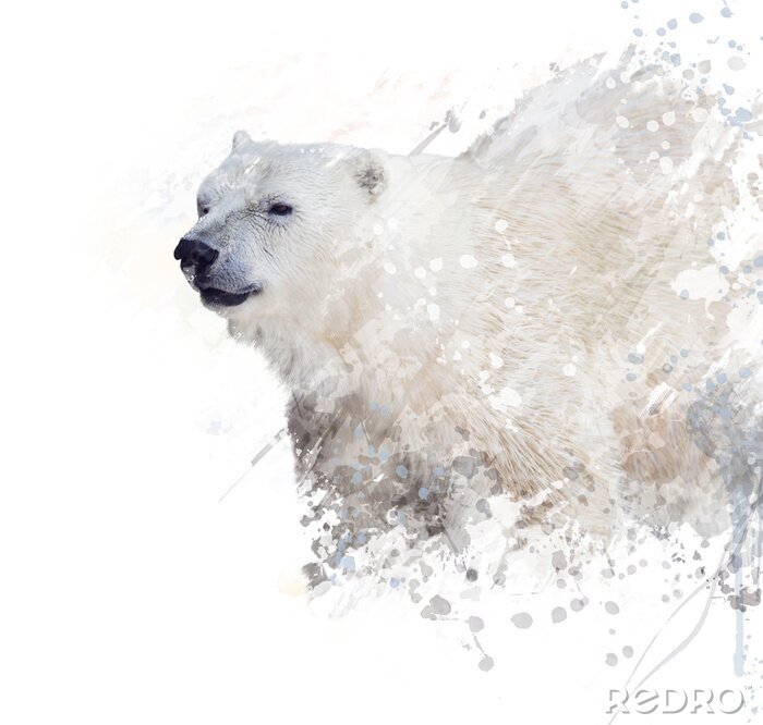 Papier peint  Animal polaire sur fond clair