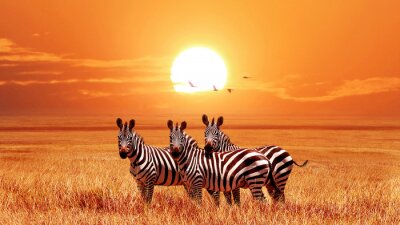 Papier peint  Animaux africains sur fond de coucher de soleil