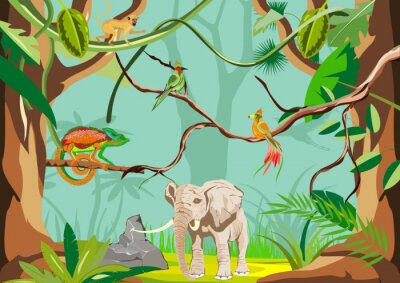 Papier peint  Animaux dans une jungle tropicale