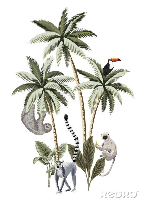 Papier peint  Animaux de la jungle isolés sur fond blanc