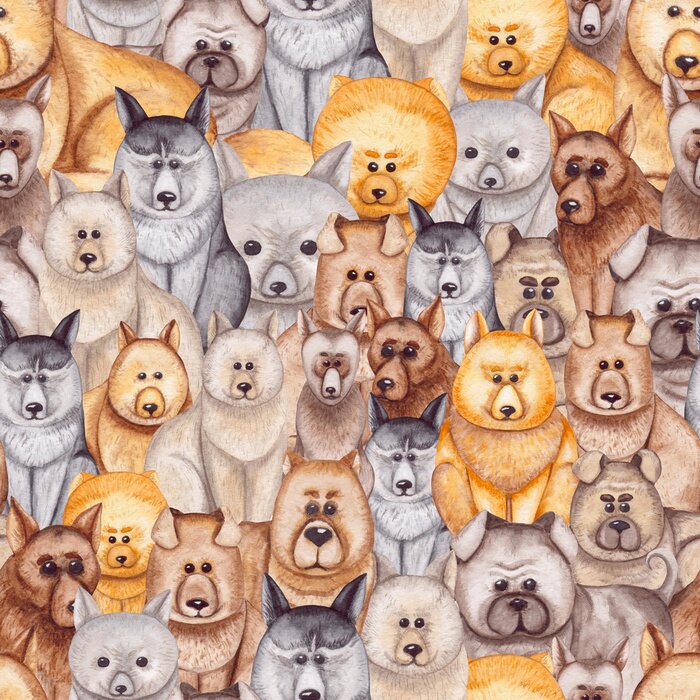 Papier peint  Animaux domestiques aux tonalités variées