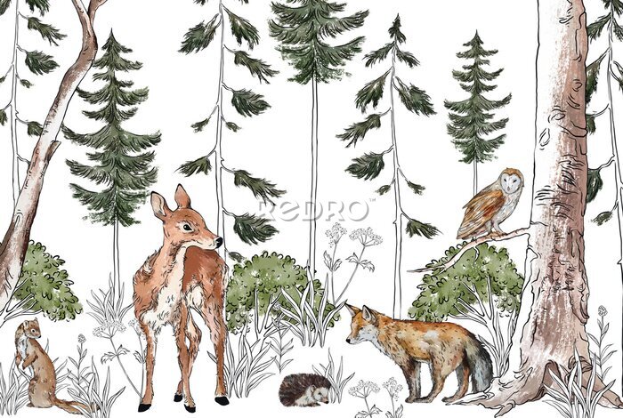Papier peint  Animaux mignons dans une forêt aquarelle