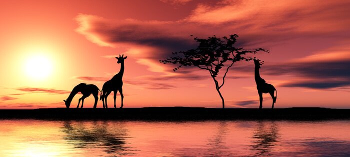 Papier peint  Animaux noirs silhouettes