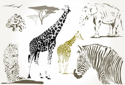 Papier peint  Animaux sauvages d'Afrique