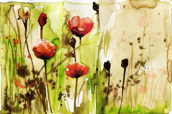 Papier peint  Aquarelle coquelicots mauves