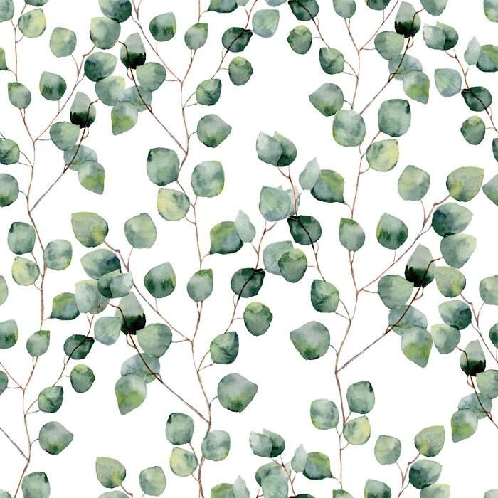 Papier peint  Aquarelle de branches d'eucalyptus avec des feuilles vertes sur fond blanc
