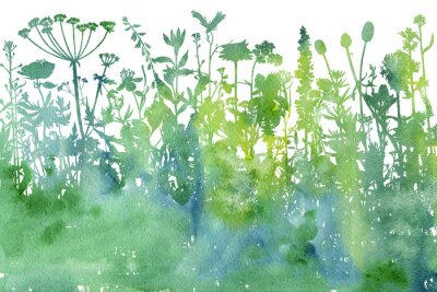 Papier peint  Aquarelle de plantes des champs