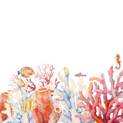 Papier peint  Aquarelle de récif corallien