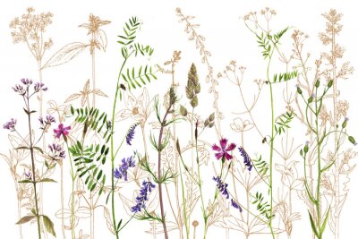 Papier peint  aquarelle dessin fleurs et plantes