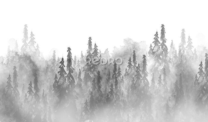 Papier peint  Aquarelle groupe d'arbres - sapin, pin, cèdre, sapin. forêt noire et blanche, paysage de campagne. Dessin sur fond blanc isolé Illustration aquarelle dessinée à la main. Forêt brumeuse et glacée