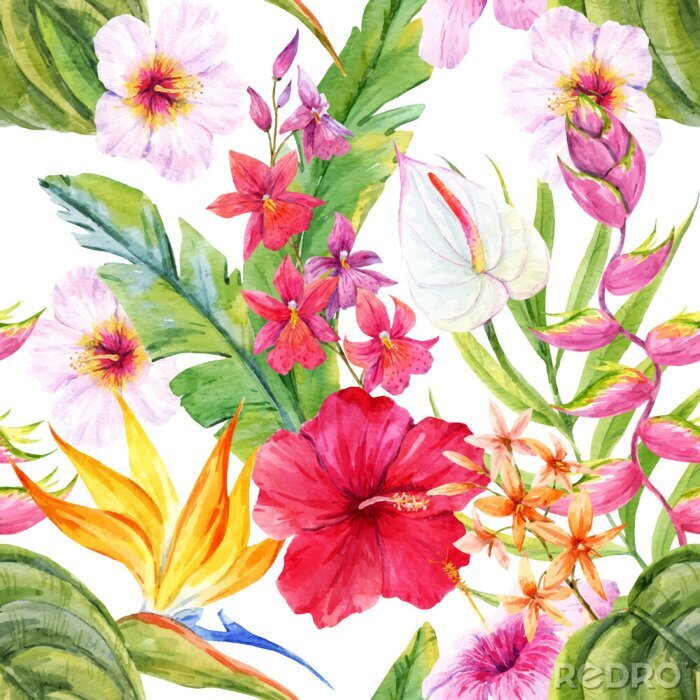 Papier peint  Aquarelle motif floral tropical