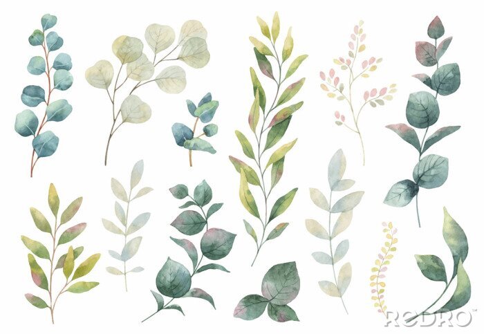 Papier peint  Aquarelle plantes et brindilles