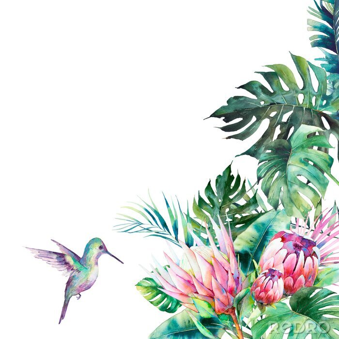 Papier peint  Aquarelle plantes et oiseau