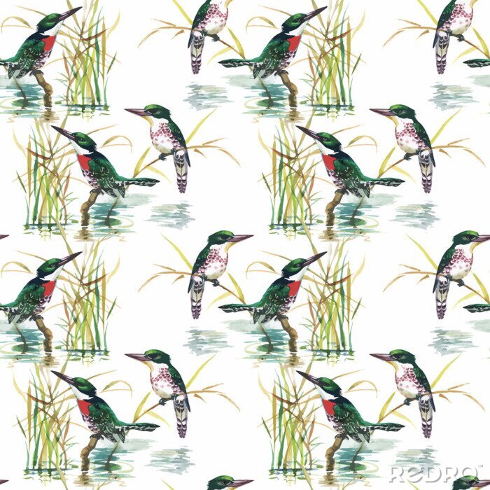 Papier peint  Aquarelle sauvages oiseaux exotiques sur les fleurs seamless sur