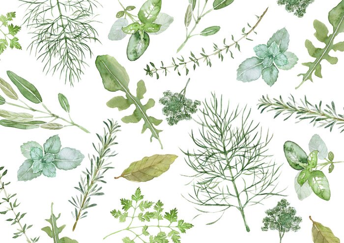 Papier peint  Aquarelles de plantes des champs