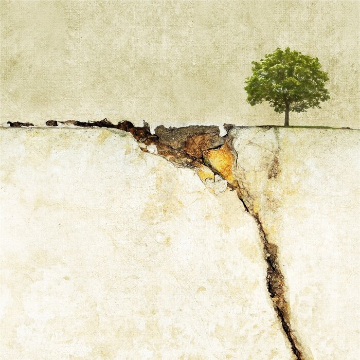 Papier peint  Arbre abstrait