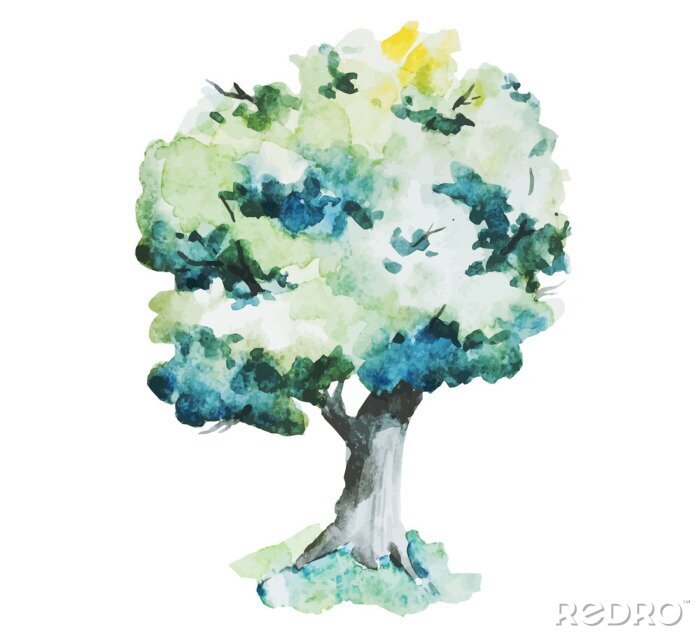 Papier peint  Arbre aquarelle sur fond blanc