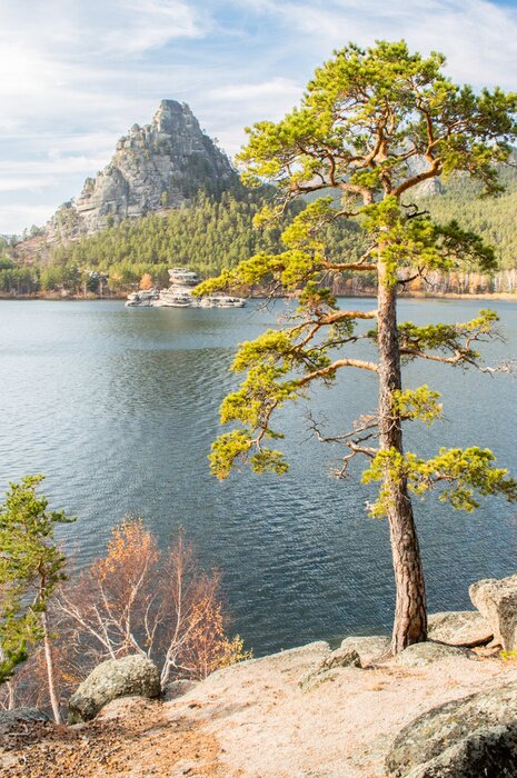 Papier peint  Arbre au bord d'un lac 3D