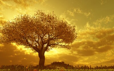Arbre au coucher du soleil