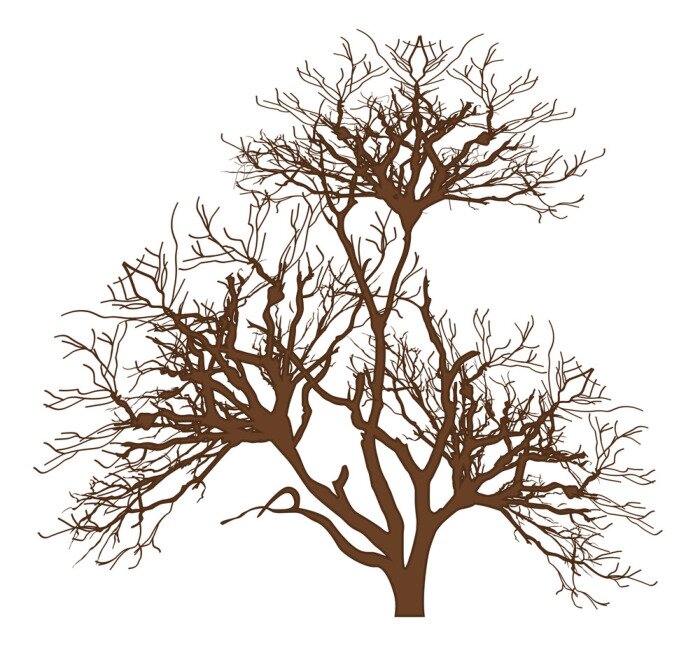 Papier peint  Arbre brun graphique
